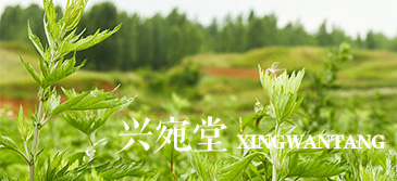 艾條的使用方法和注意事項(xiàng)有哪些？